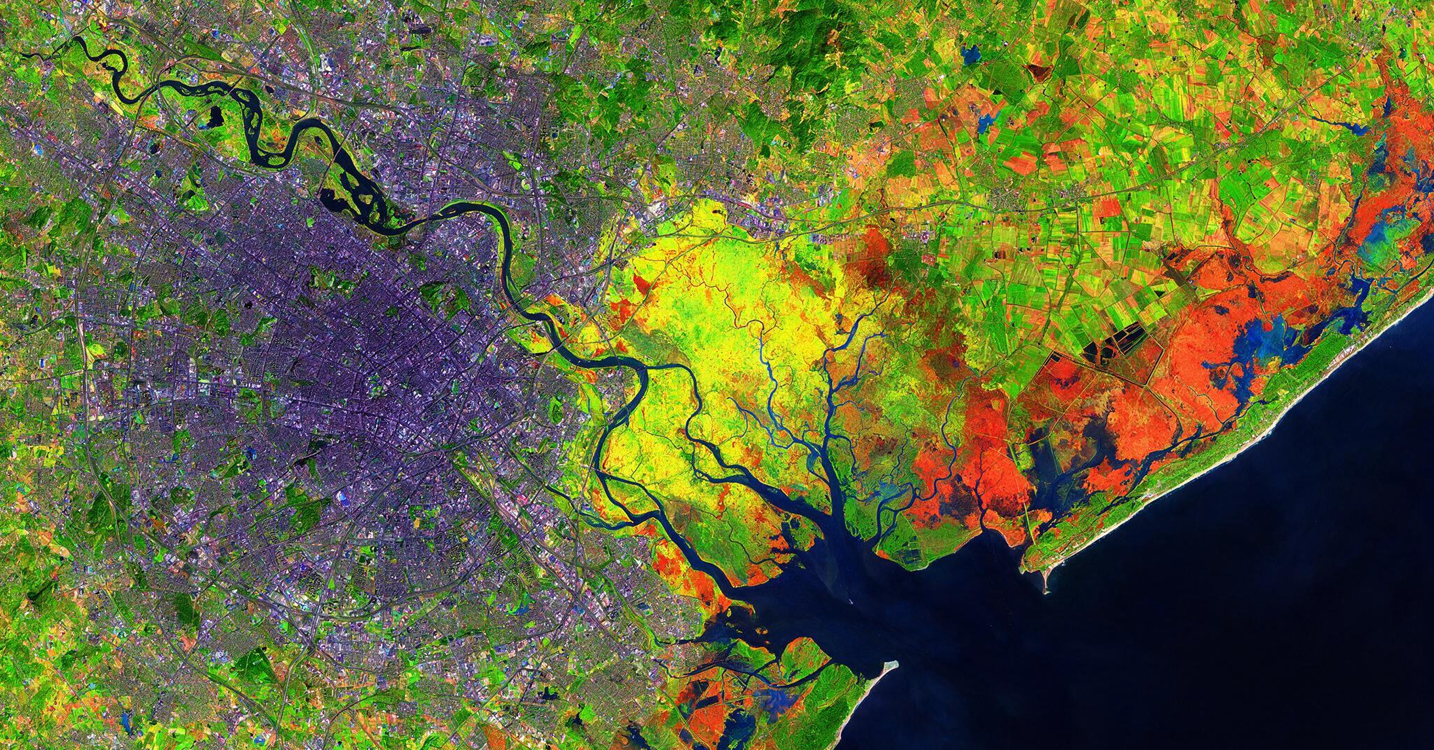 Imagem de território vista por satélite